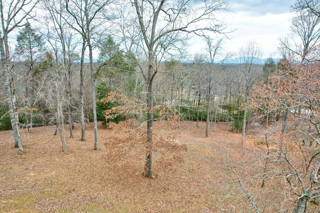 146 Bentwood Lane