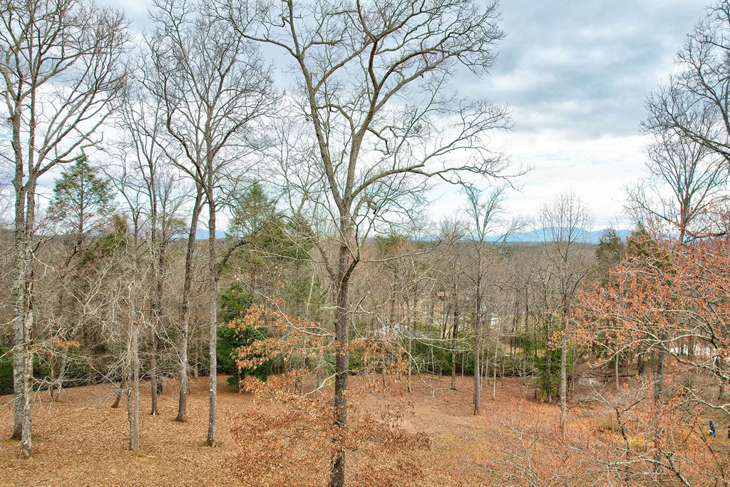 146 Bentwood Lane