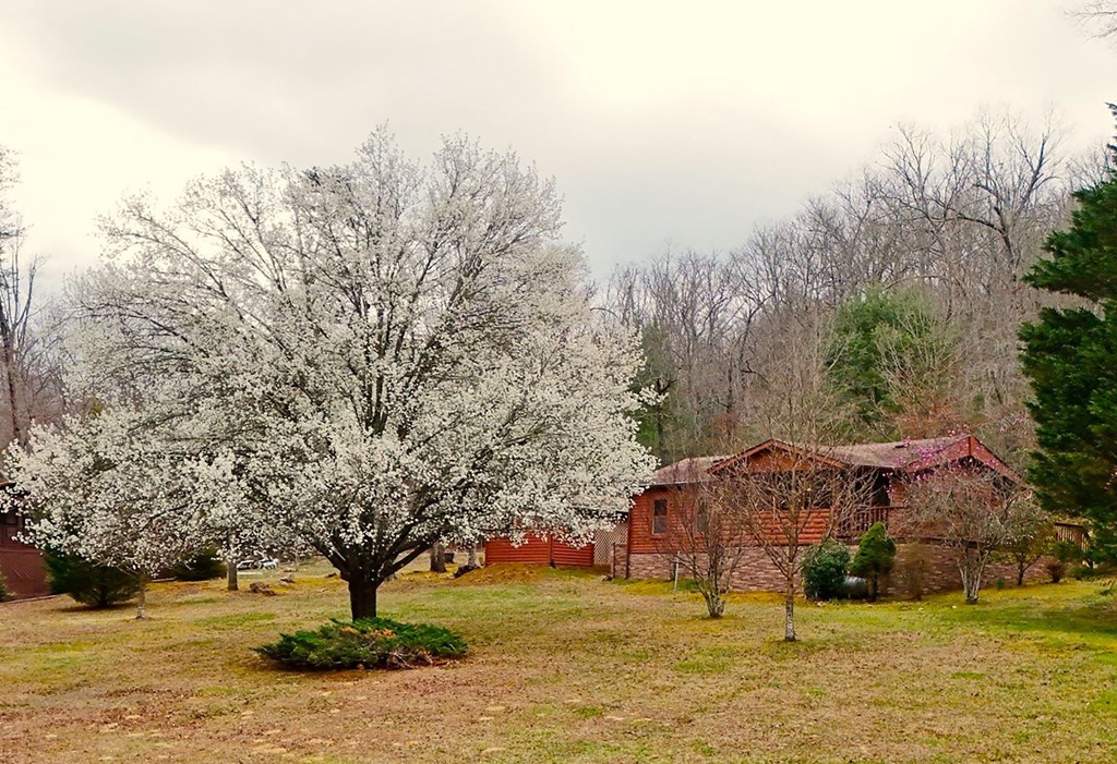 1844 Whispering Pines