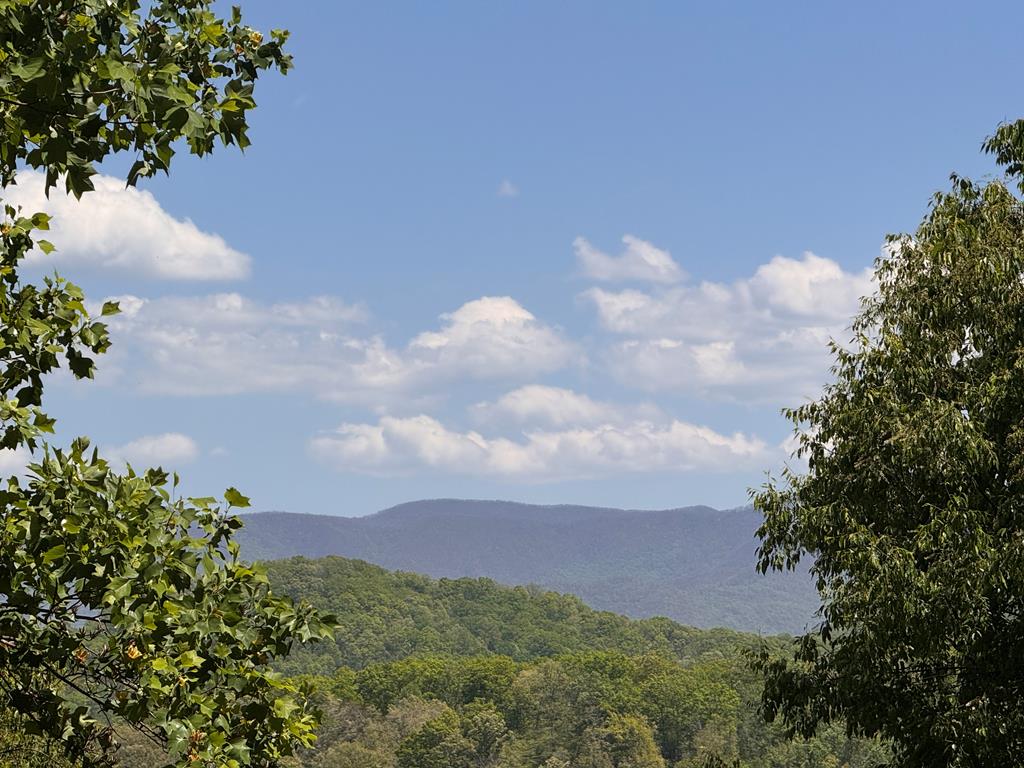 197 Eagles View Road
