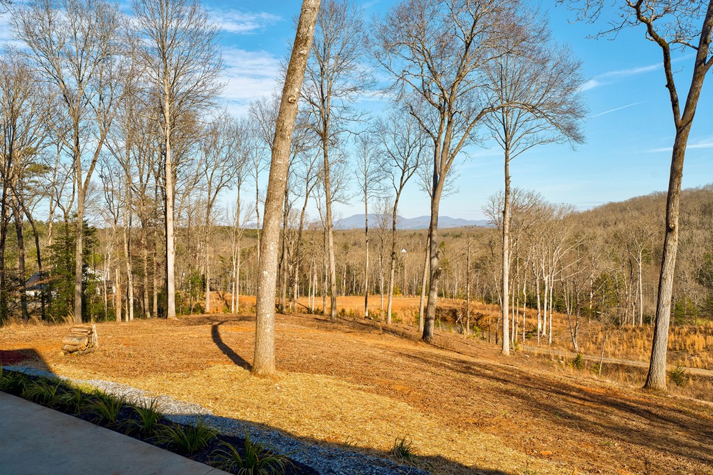 187 Briar Woods Lane