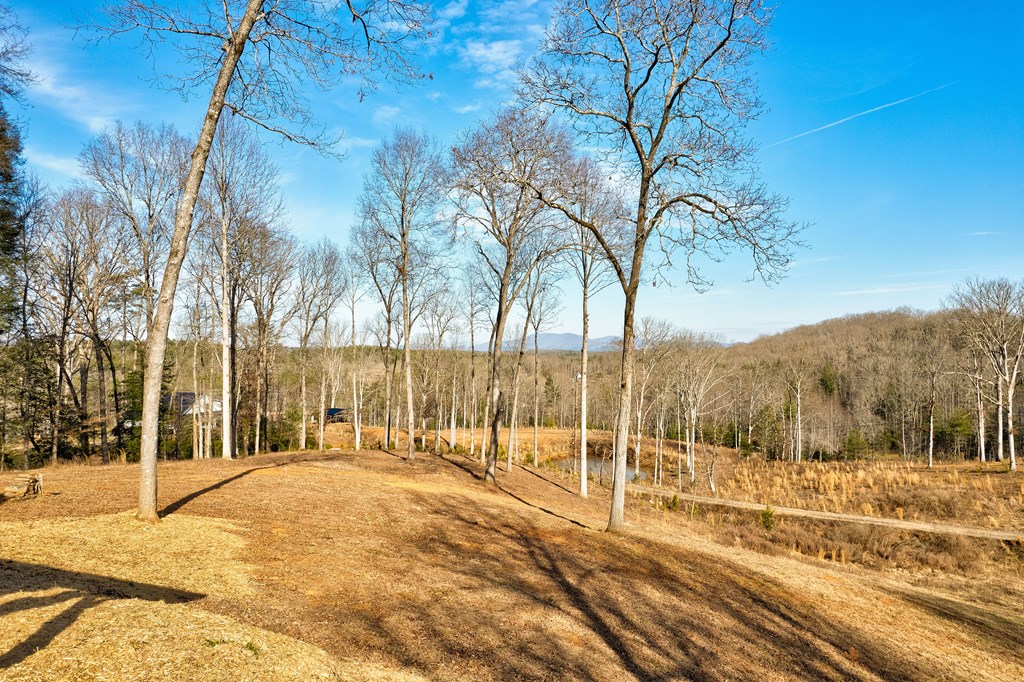 187 Briar Woods Lane
