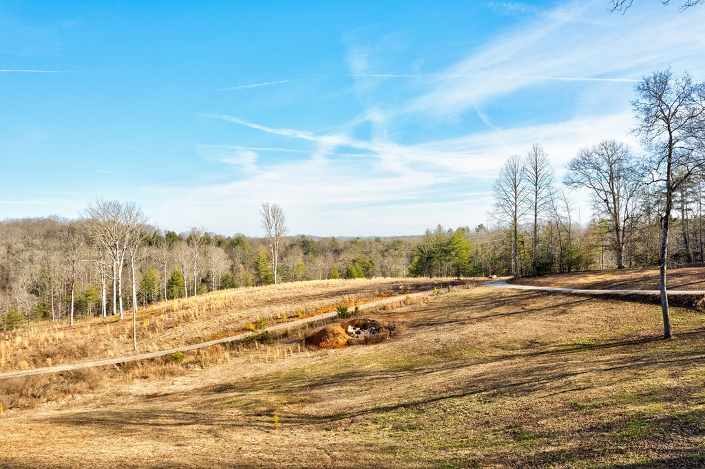 187 Briar Woods Lane