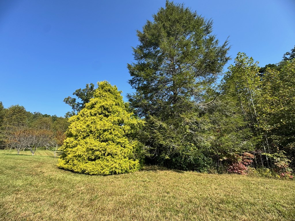 89 Simmons Ridge