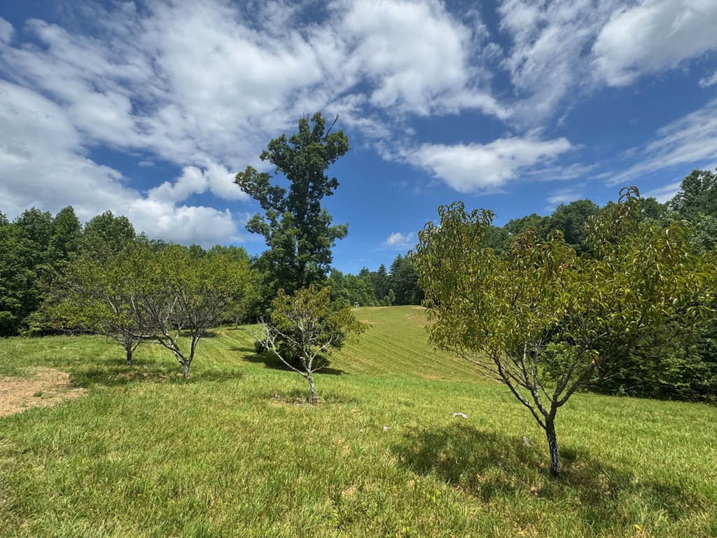 89 Simmons Ridge
