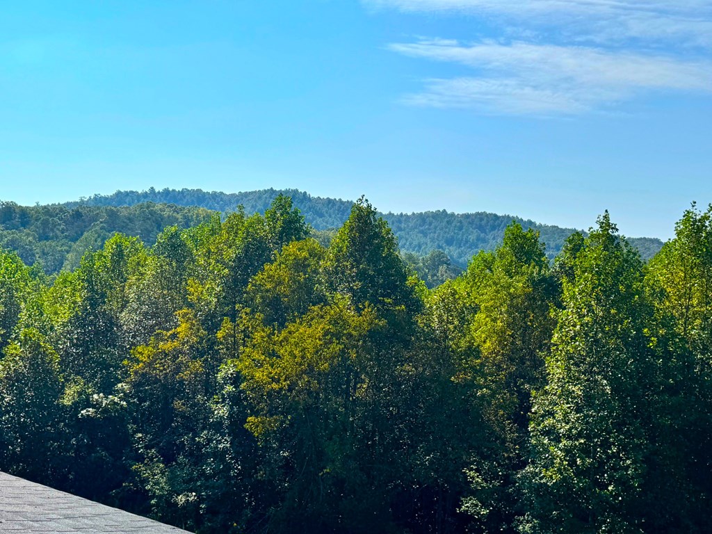 89 Simmons Ridge