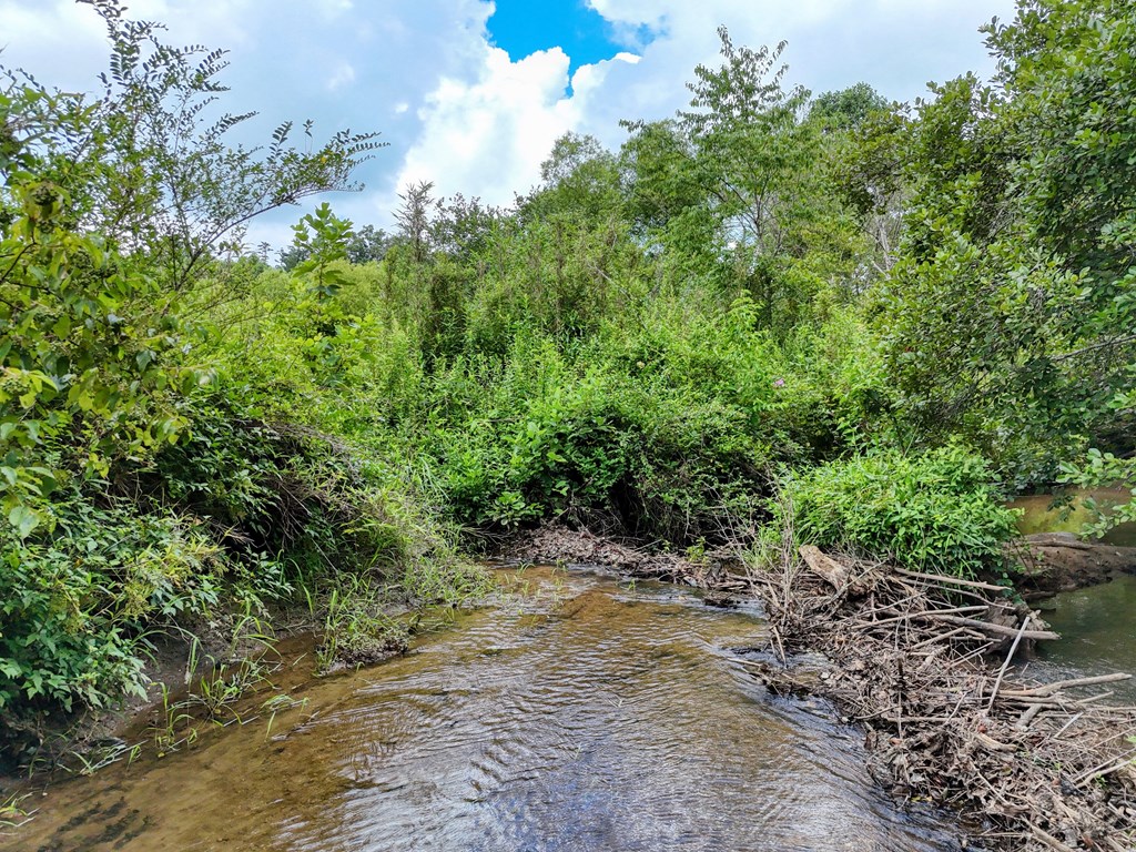 89 Simmons Ridge