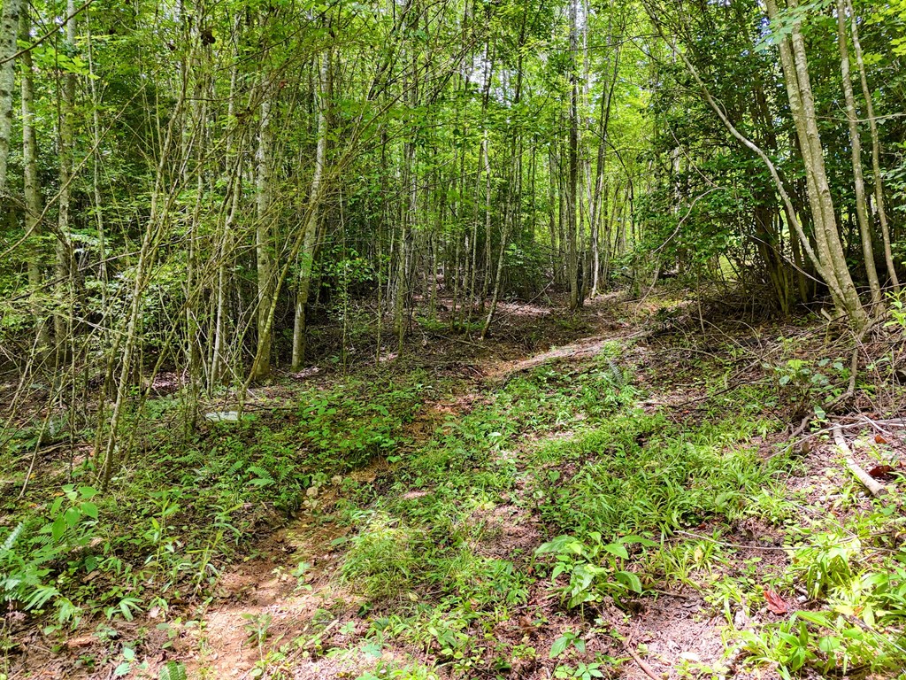 89 Simmons Ridge