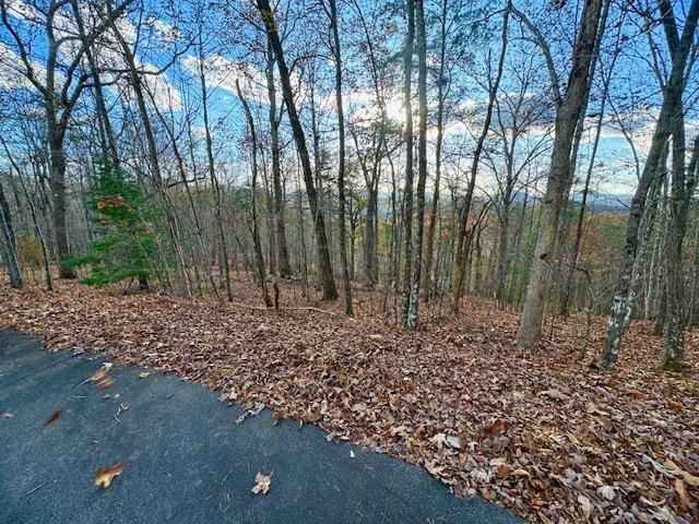 Lot 49 Mission Ridge