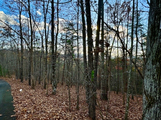 Lot 49 Mission Ridge