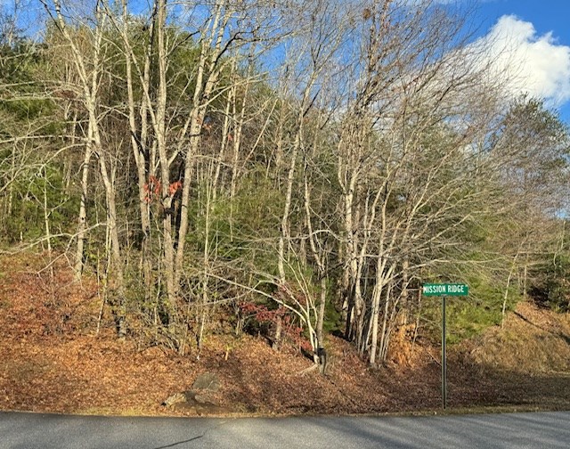 Lot 49 Mission Ridge