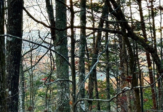 Lot 49 Mission Ridge