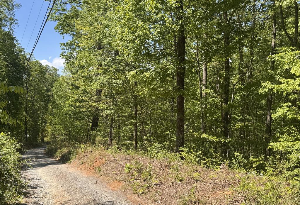 2.42 AC Poplar Drive N