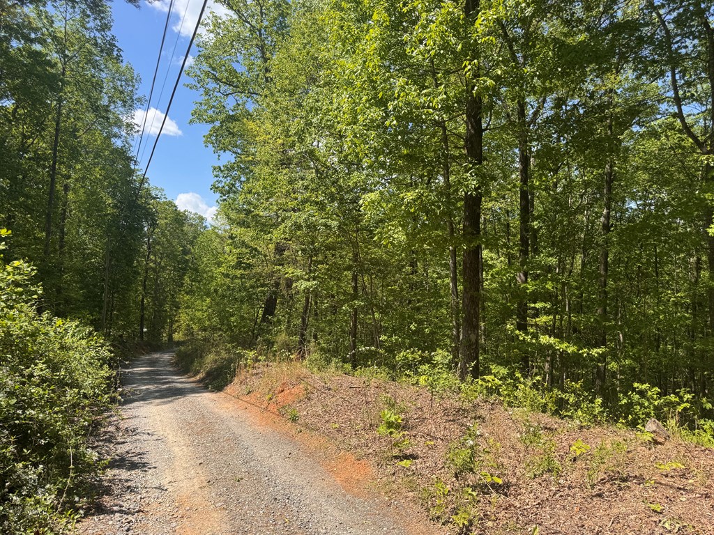 2.42 AC Poplar Drive N