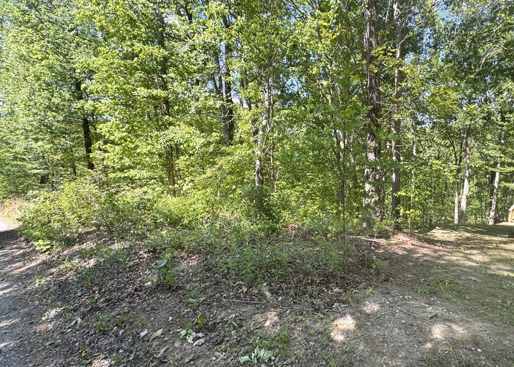 2.42 AC Poplar Drive N