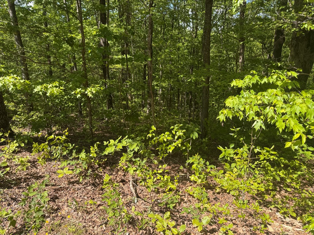2.42 AC Poplar Drive N