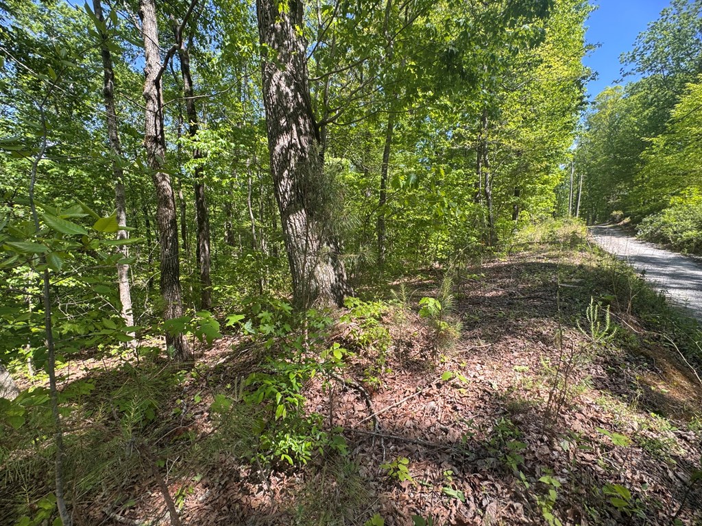 2.42 AC Poplar Drive N