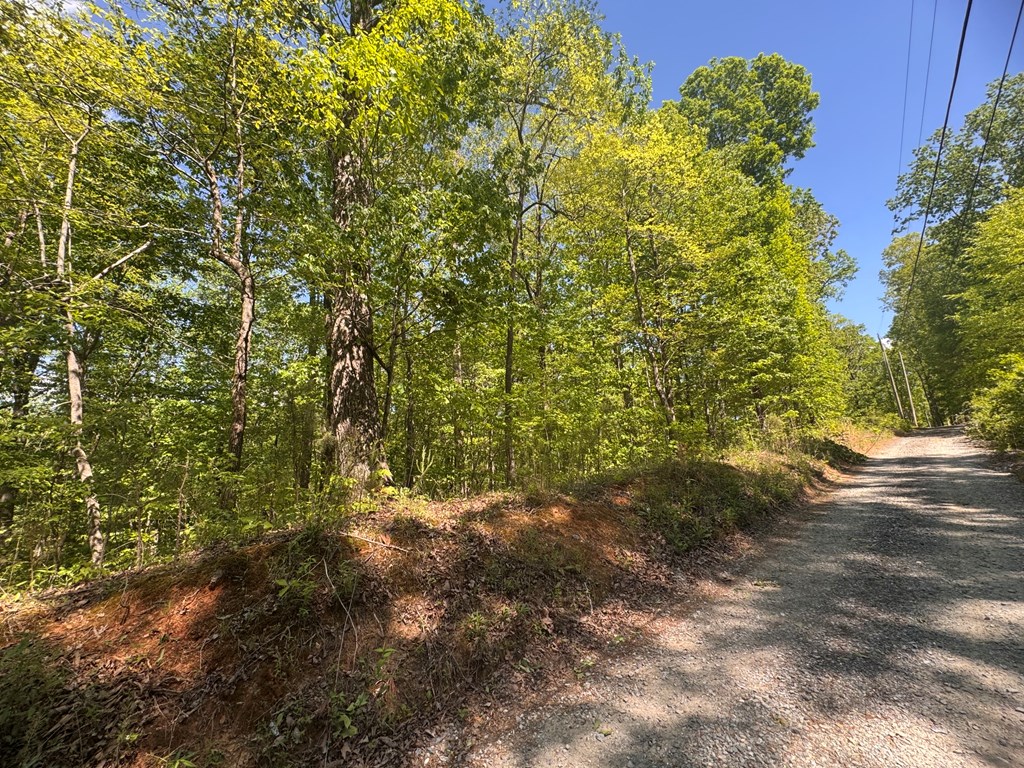 2.42 AC Poplar Drive N