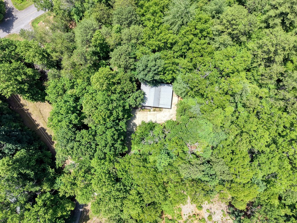 4777 Laurel Mountain Road