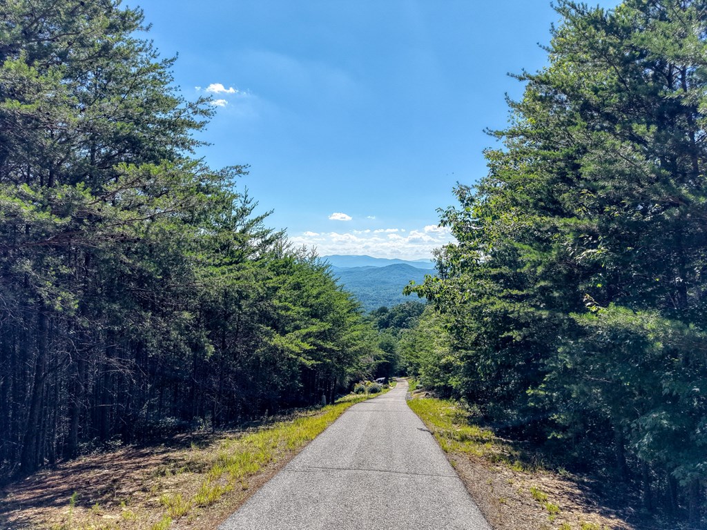 LOT 31 Crested Eagle Lane