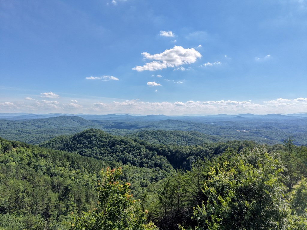 LOT 31 Crested Eagle Lane