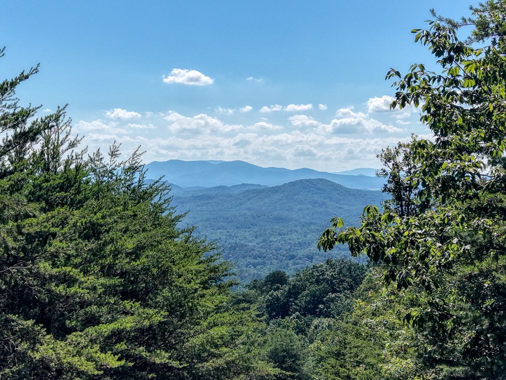 LOT 31 Crested Eagle Lane