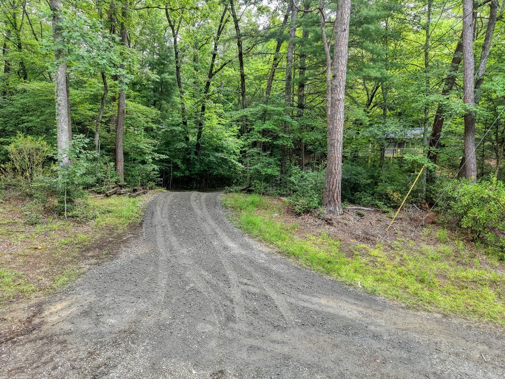 198 Big Rock Drive