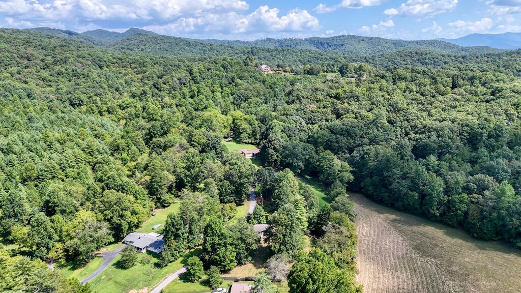 48 Green Trail