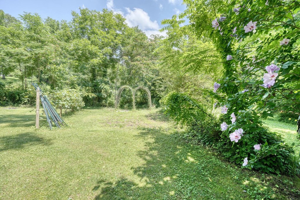 1007 Valley River Avenue