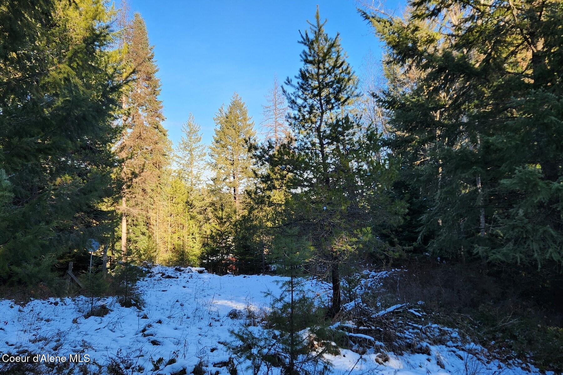 238 Blackthorn Rd