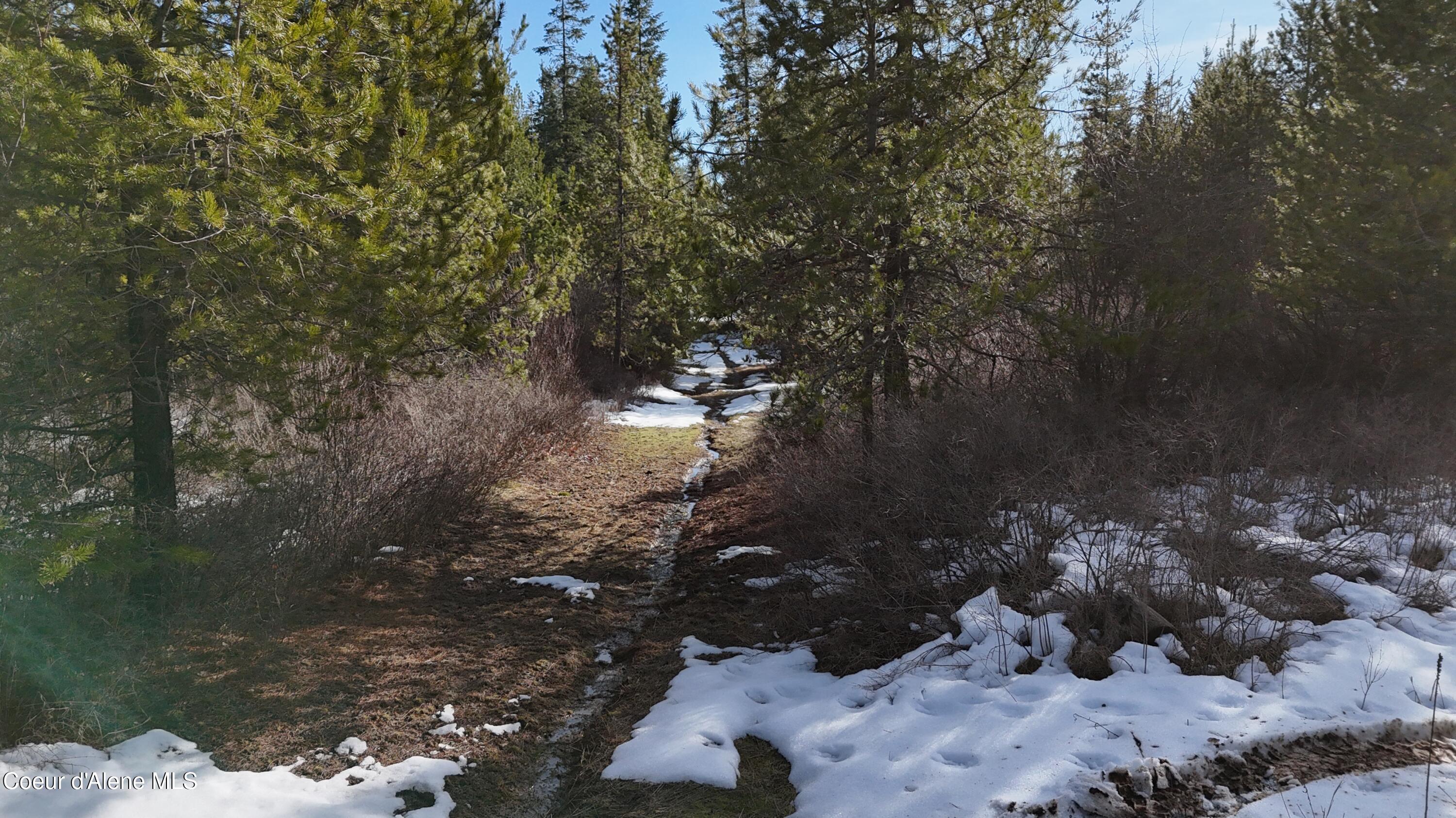 170 Buckeye Ln, St. Maries