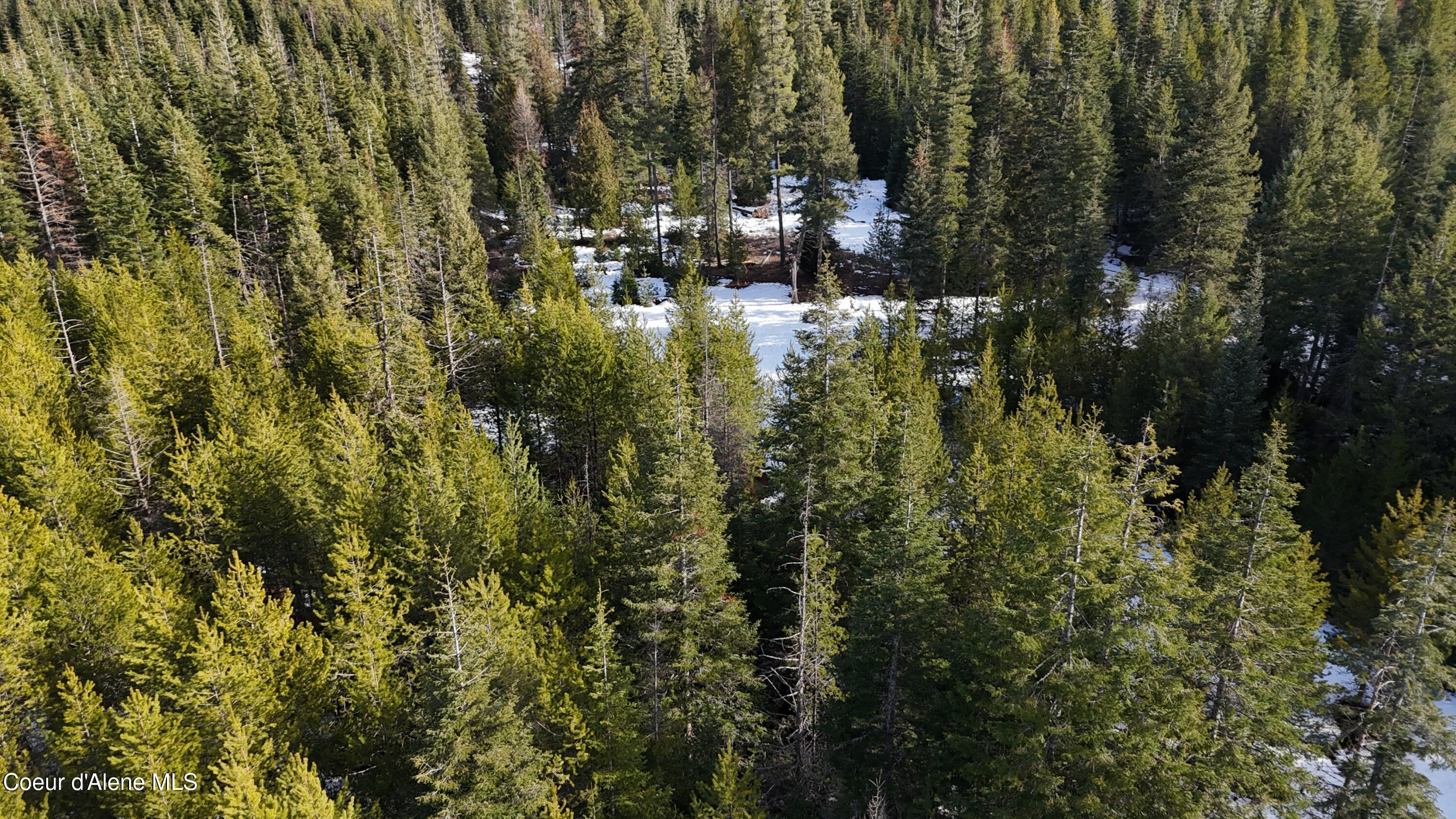 170 Buckeye Ln, St. Maries