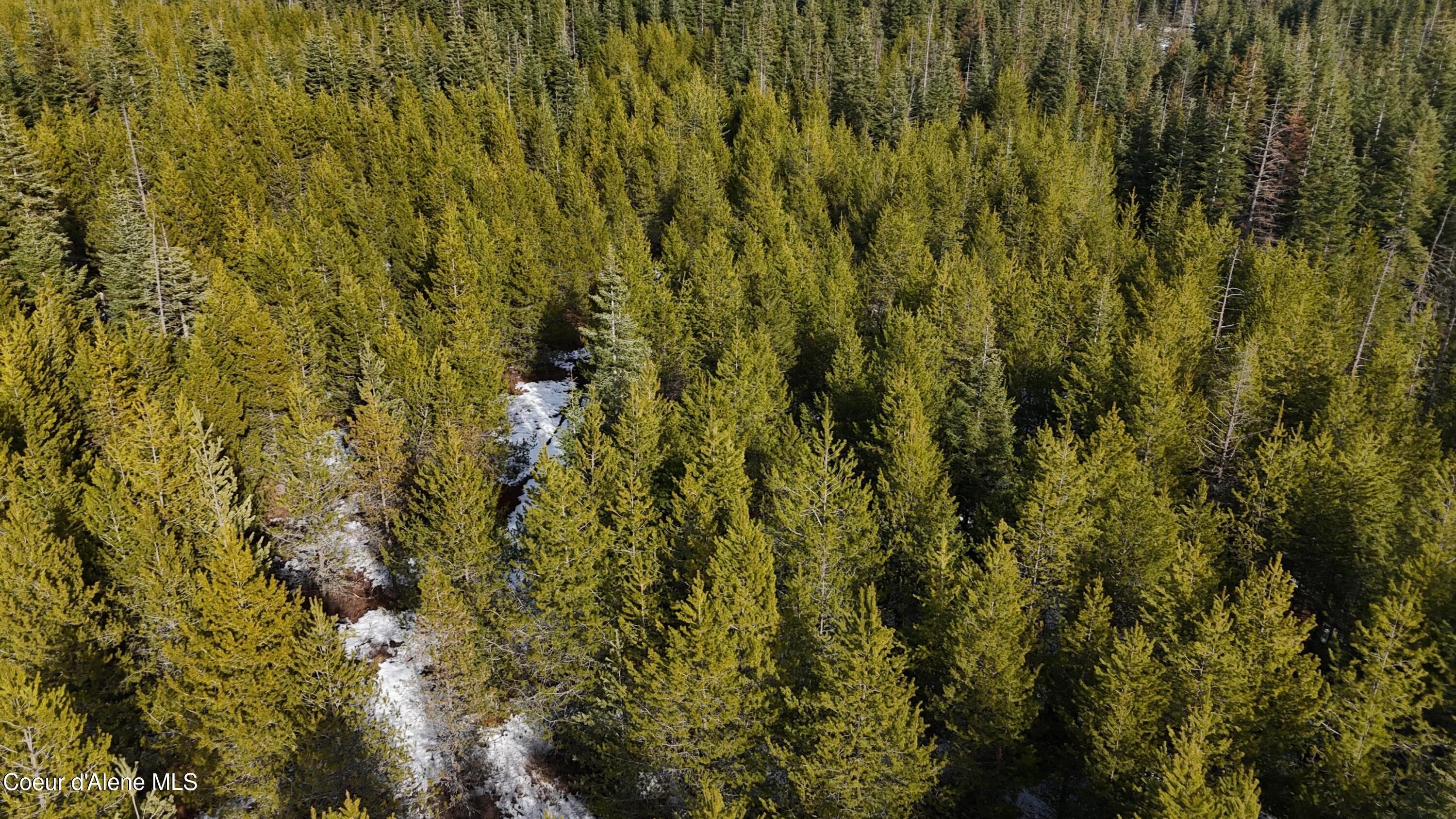 170 Buckeye Ln, St. Maries