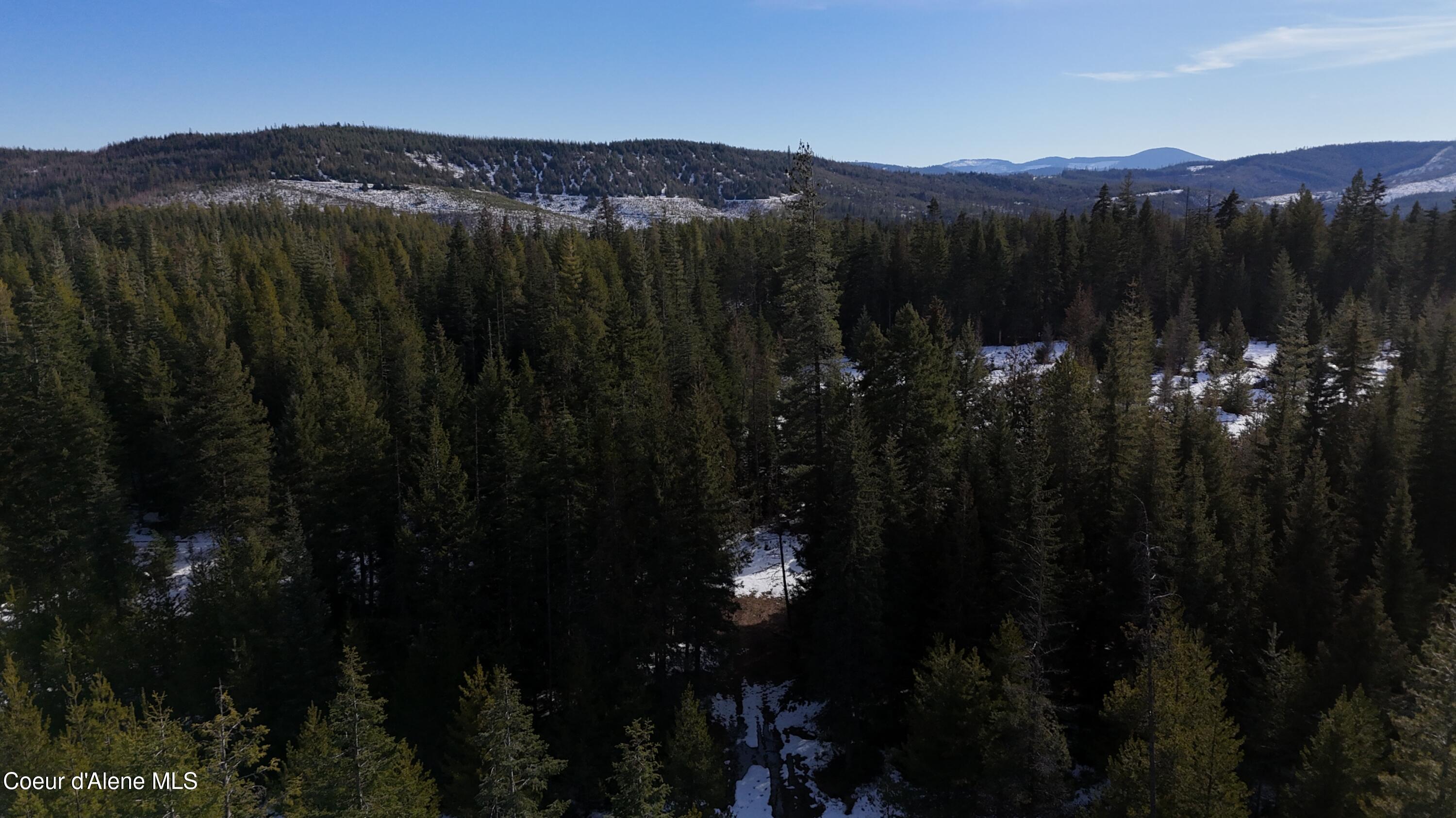 170 Buckeye Ln, St. Maries