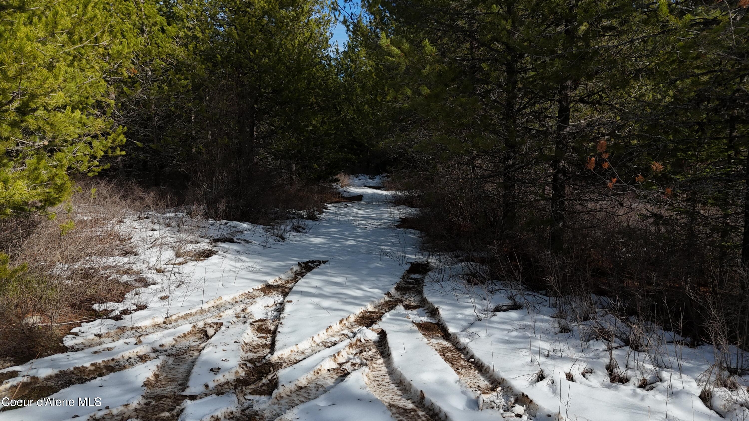 170 Buckeye Ln, St. Maries