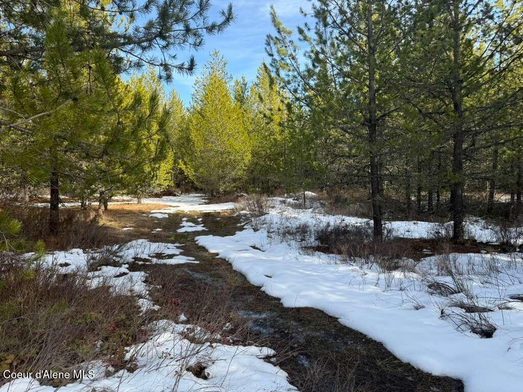 170 Buckeye Ln, St. Maries