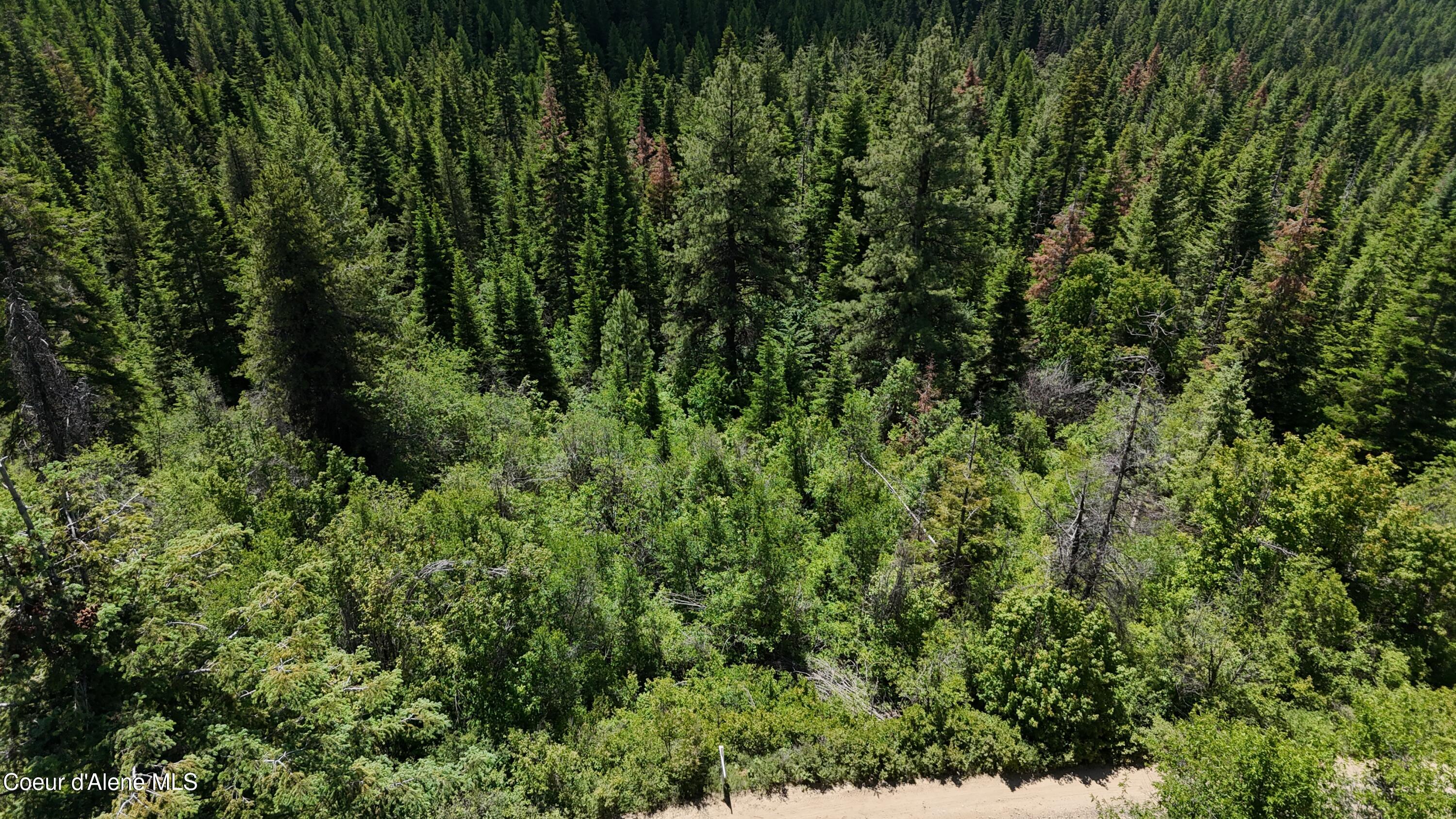 2407 Crystal Peak Rd