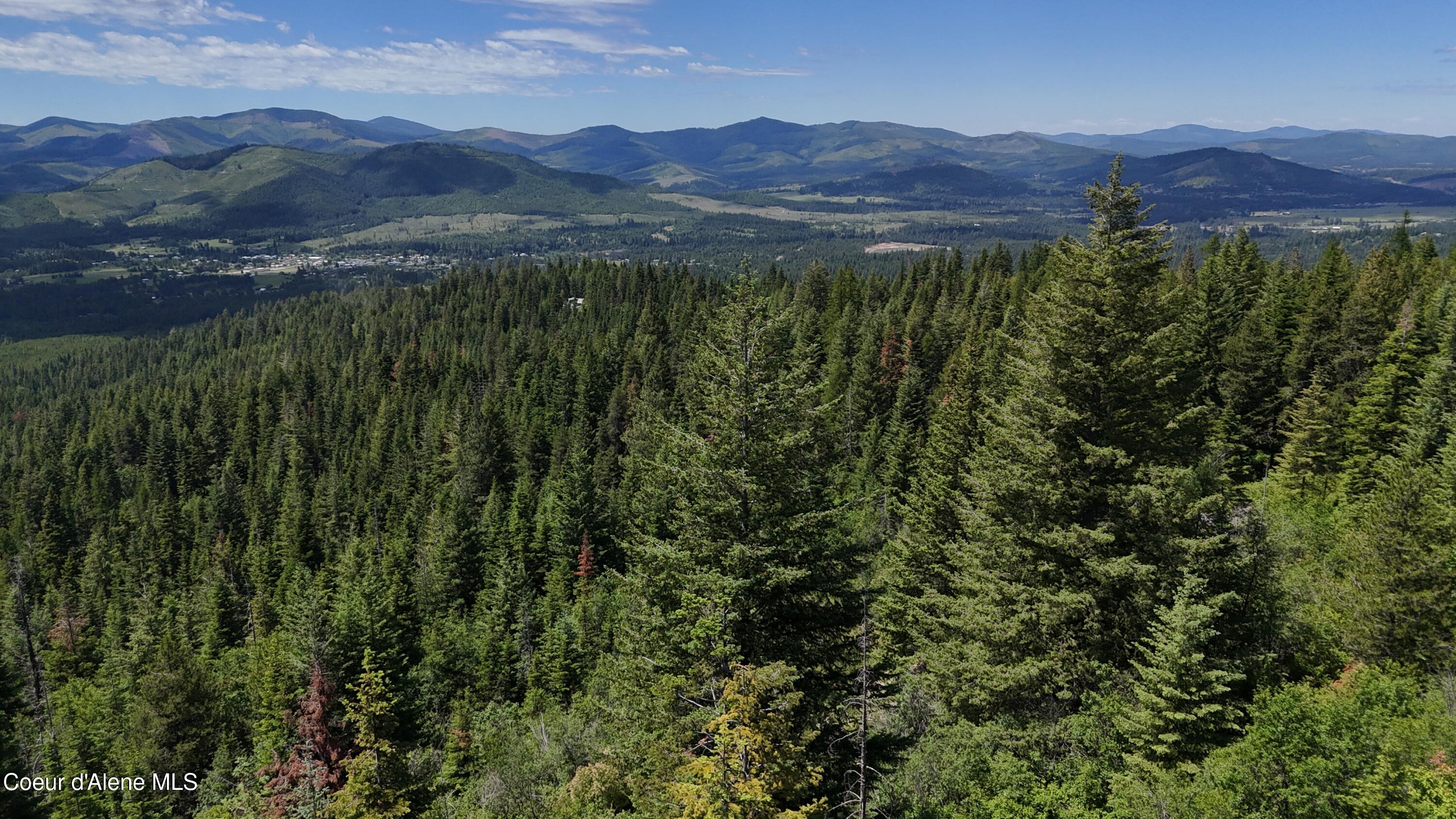 2407 Crystal Peak Rd