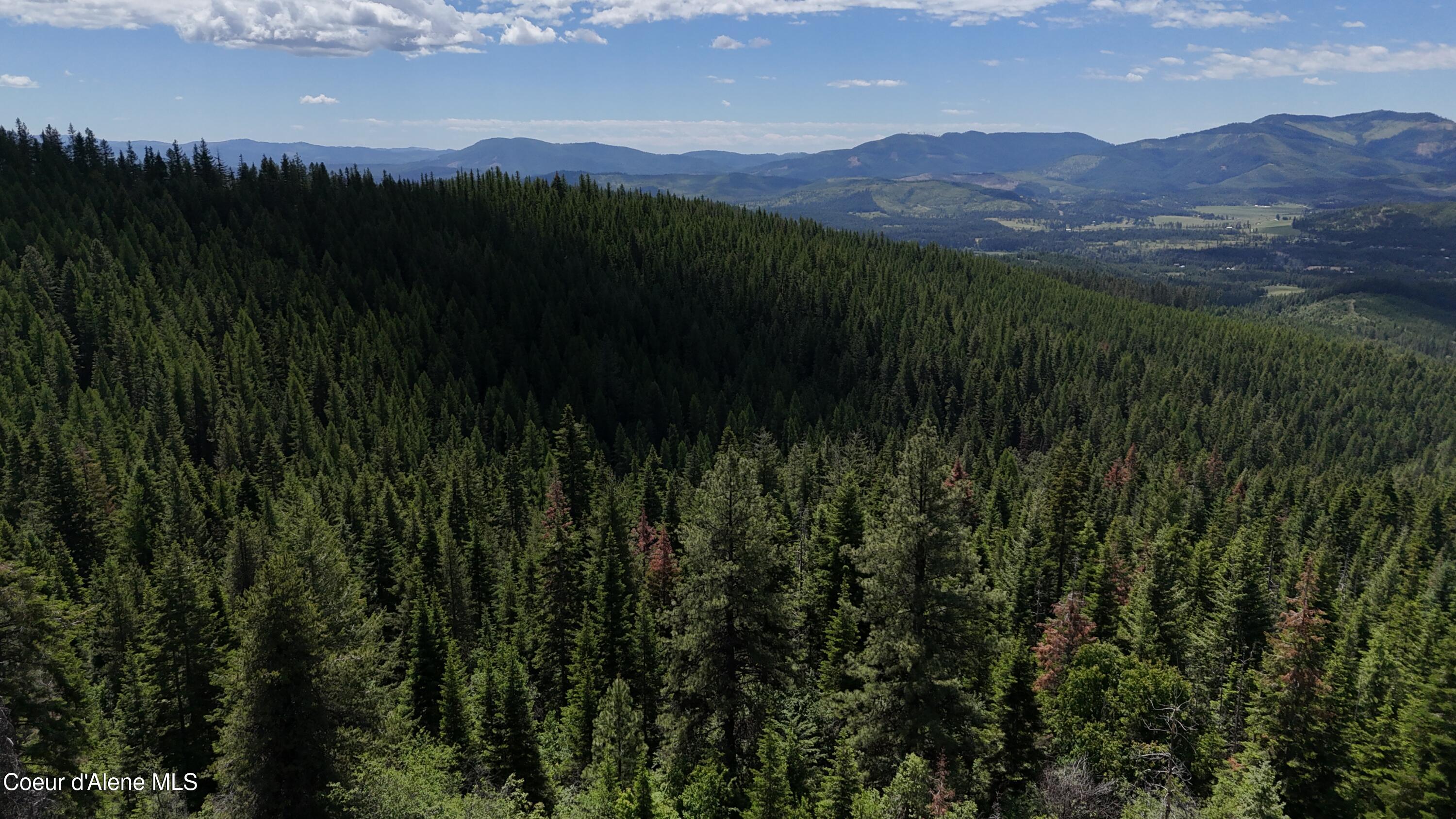 2407 Crystal Peak Rd