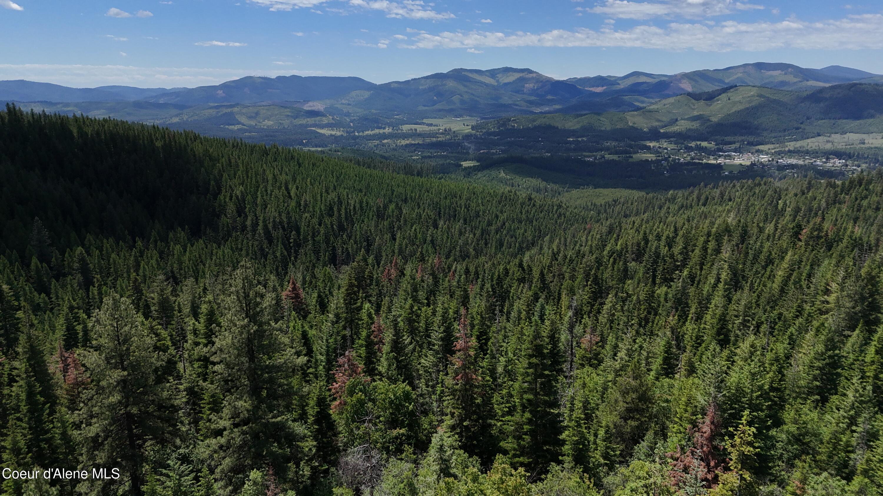 2407 Crystal Peak Rd