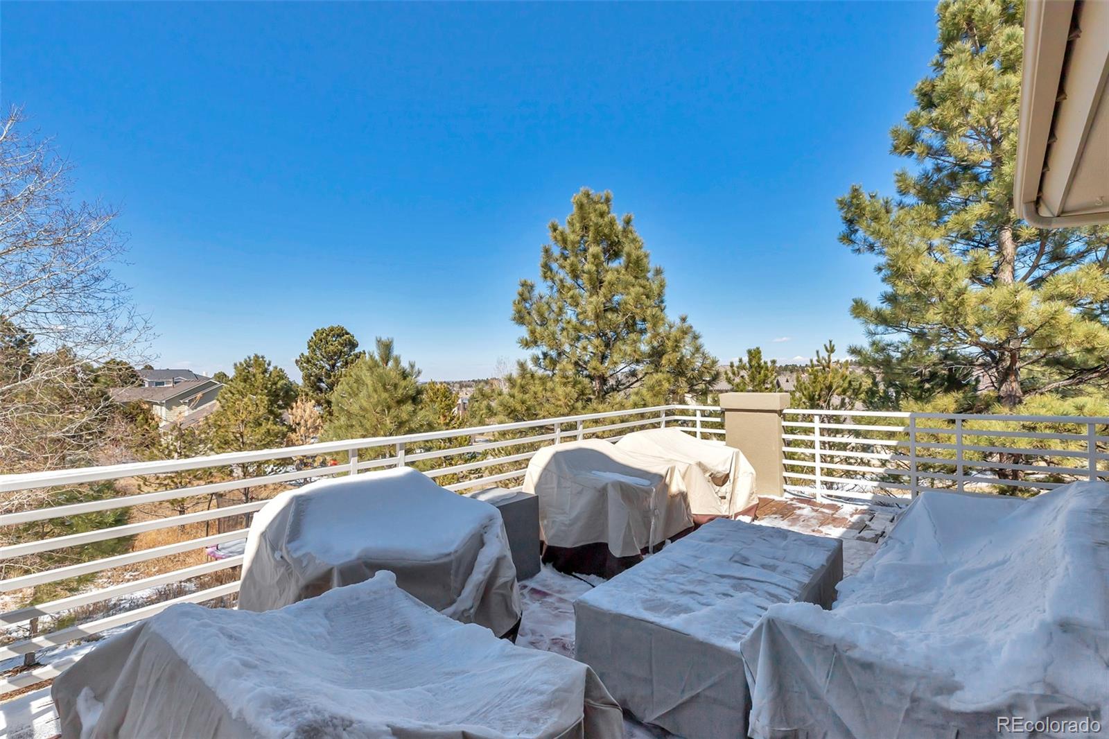 5651 Silver Bluff Court