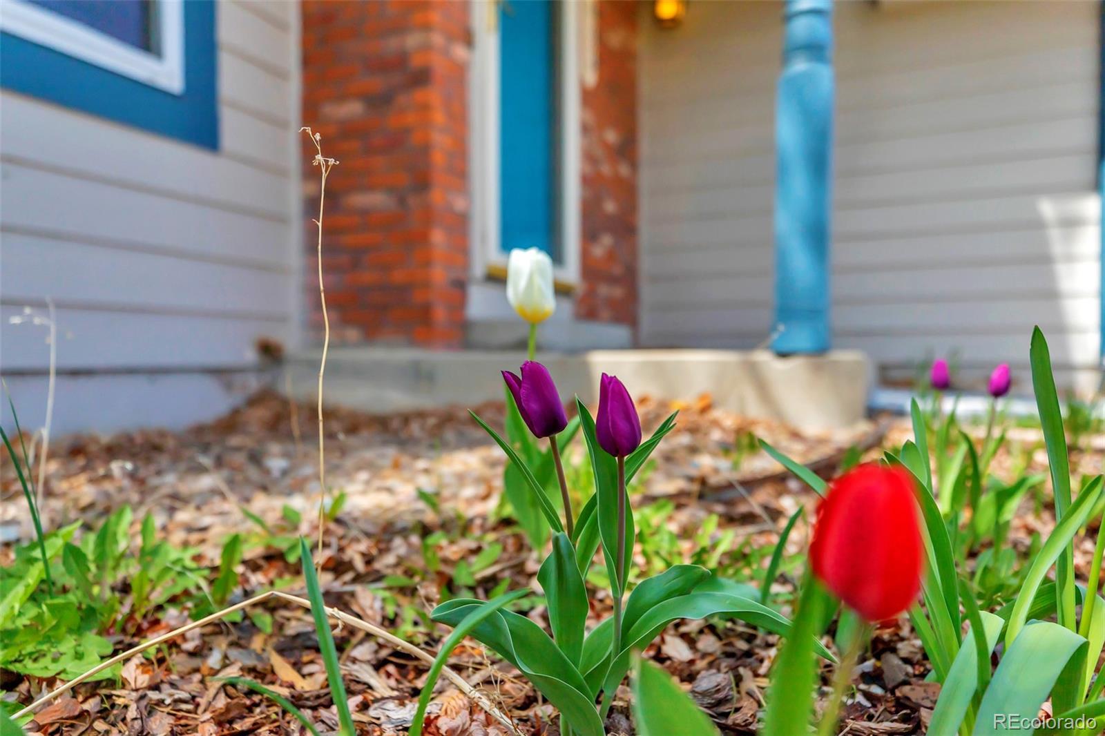 18254 E Tanforan Drive