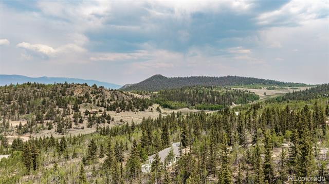 Mountain and forest view with wooded hills, open meadows, and distant ridgelines.