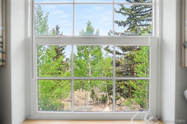 Multipane window overlooking a wooded yard with leafy trees, shrubs, and rocks.