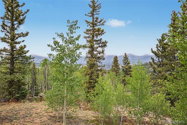 Wooded property lot with distant mountain views and a clear blue sky.