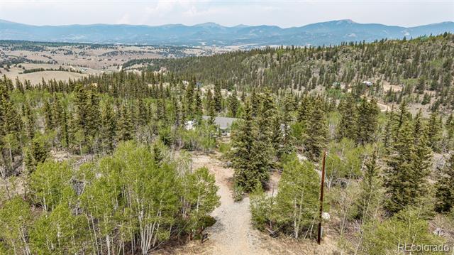 Aerial view of a wooded property with a winding gravel driveway and distant mountains.