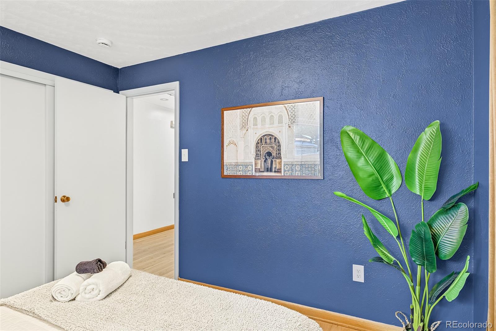 Bedroom with a deep blue accent wall, framed artwork, and a large leafy plant.
