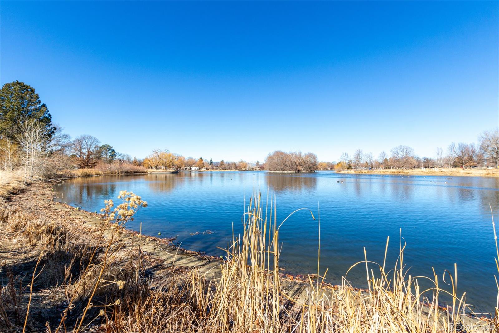 528 S Franklin Street