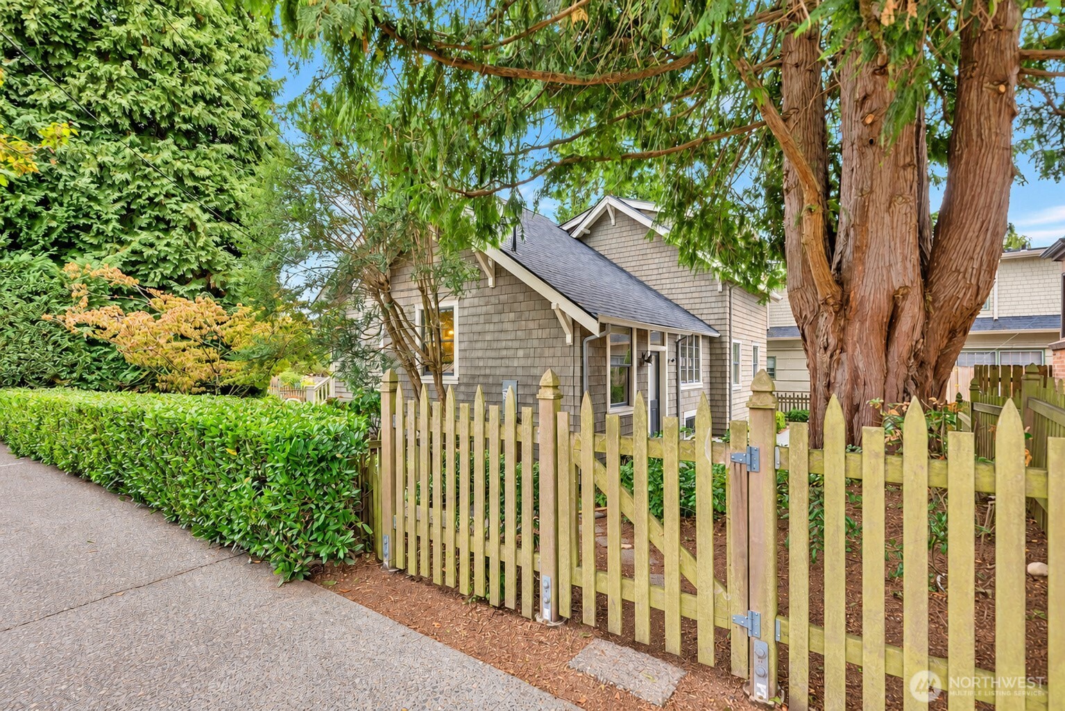 Gray shingle-sided house behind a pale picket fence, shaded by mature trees.
