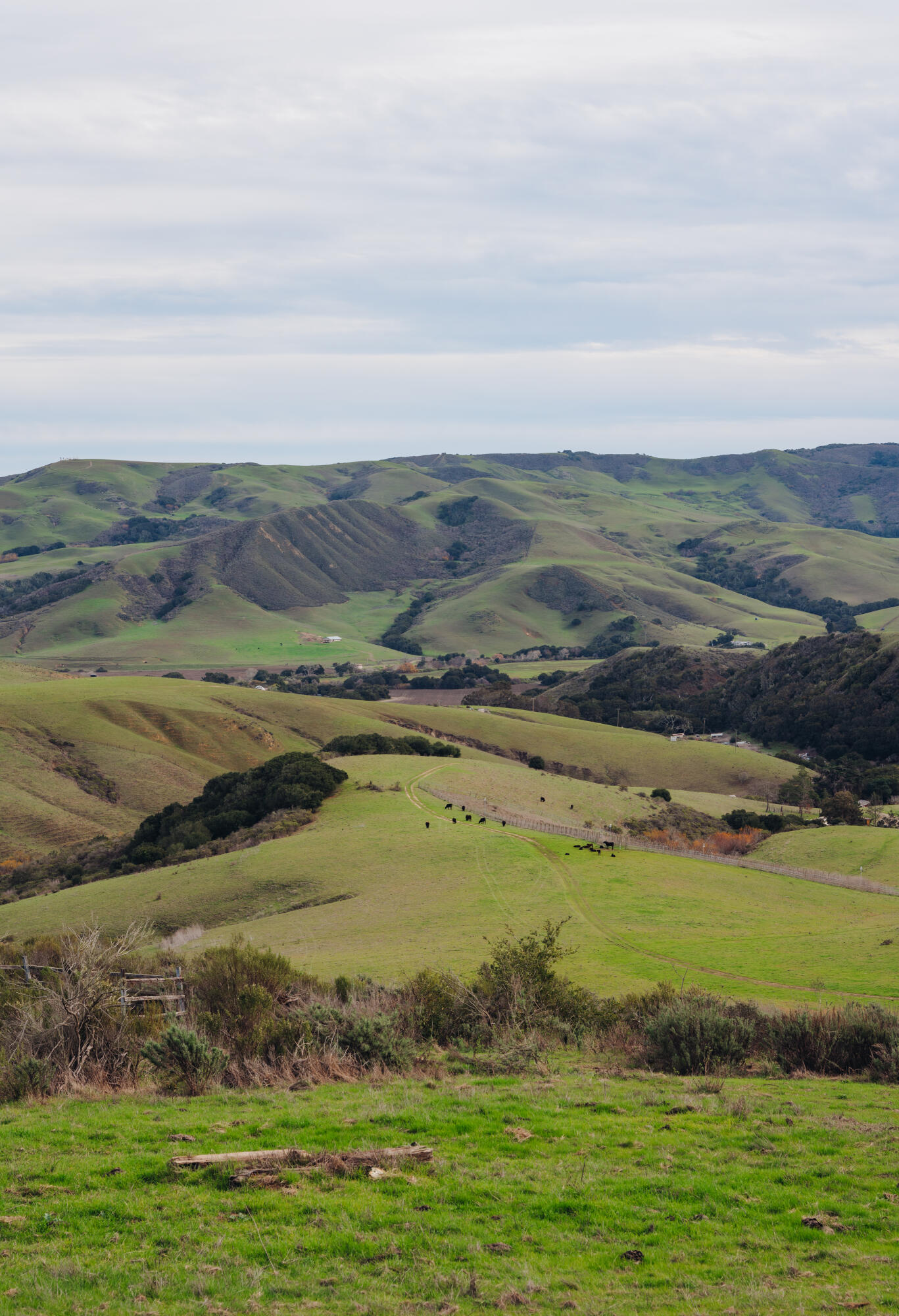 3625 Jalama Road
